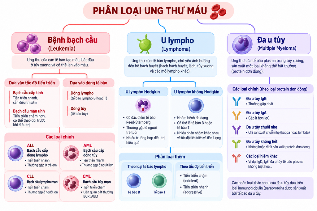 Ung thư máu là gì? Phân loại, dấu hiệu, chẩn đoán và phương pháp điều trị - hình minh họa 5